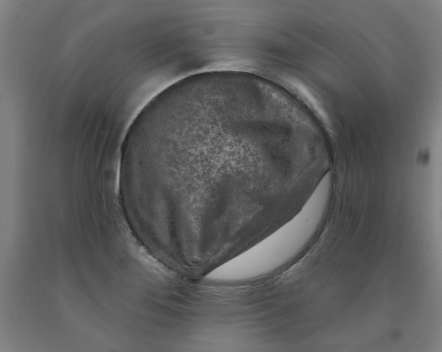 X0000091951276200709271318