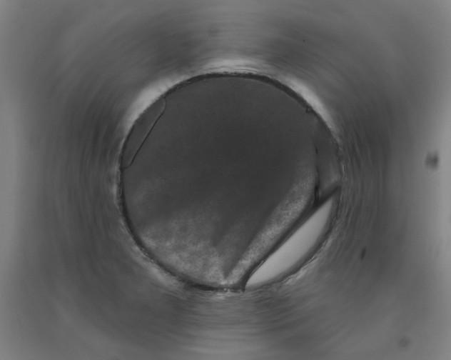 X0000091951277200709271318