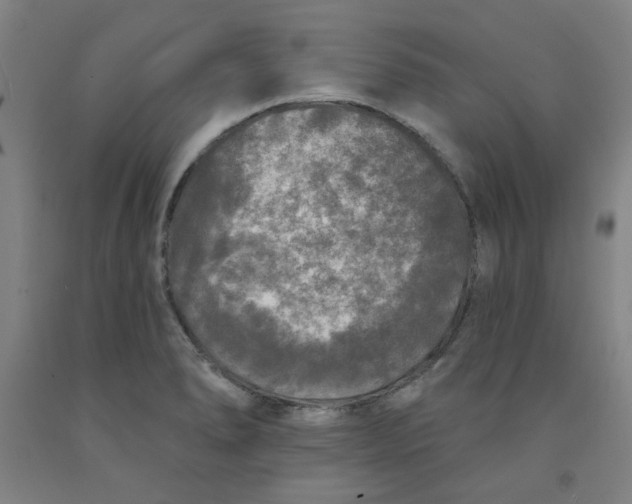 X0000091951278200709271318