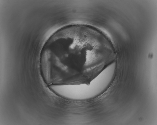 X0000091951279200709271318