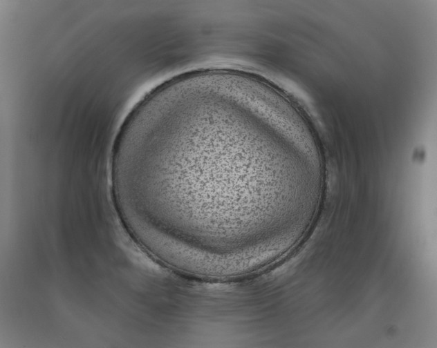 X0000091951280200709271318