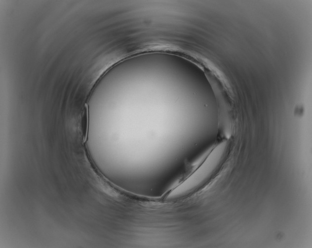 X0000091951281200709271318