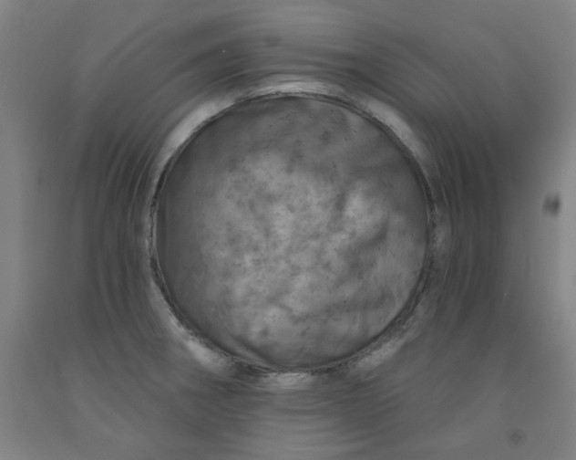 X0000091951282200709271318