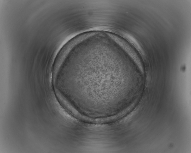 X0000091951284200709271318