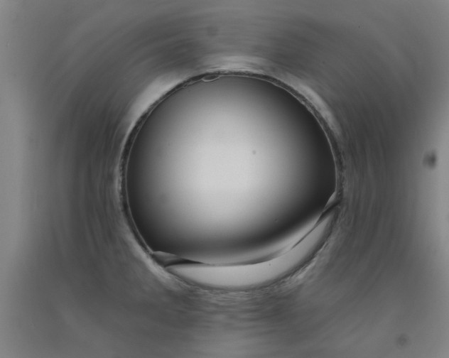 X0000091951285200709271318