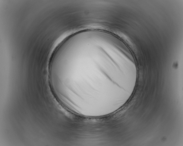 X0000091951286200709271318