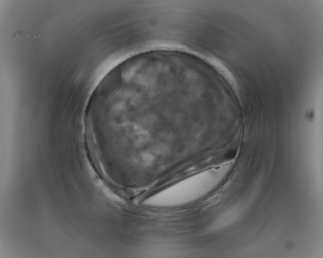 X0000091951287200709271318