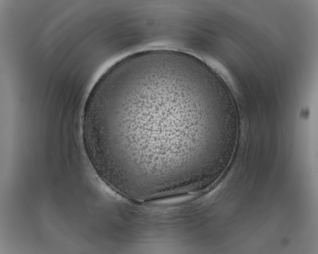 X0000091951288200709271318