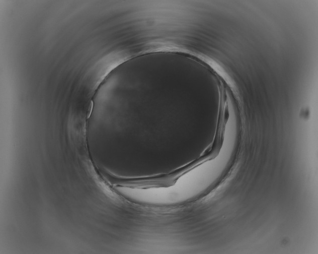 X0000091951289200709271318