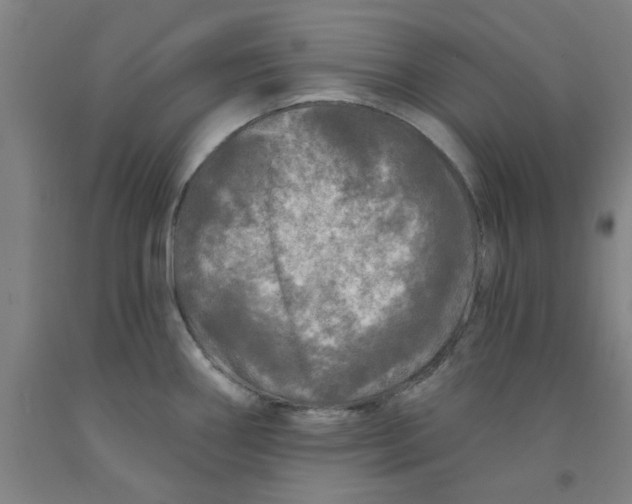 X0000091951290200709271318