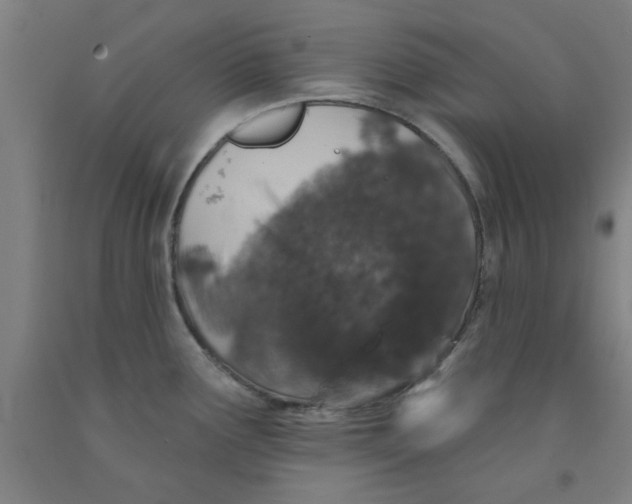 X0000091951291200709271318