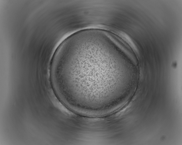 X0000091951292200709271318