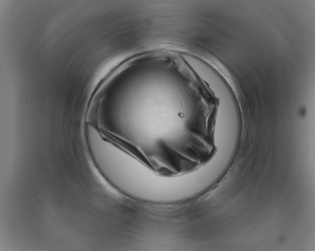 X0000091951293200709271318