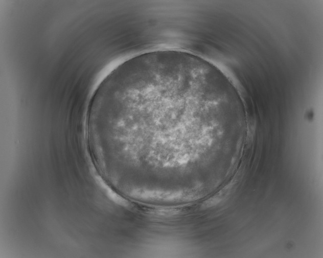 X0000091951294200709271318