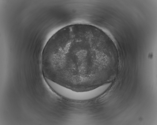 X0000091951295200709271318