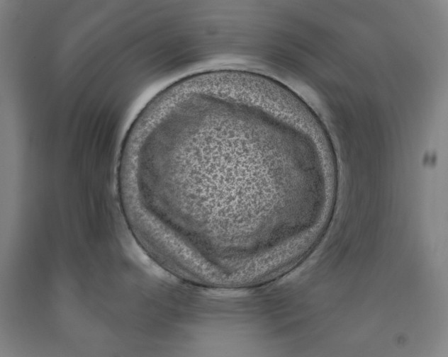 X0000091951296200709271318