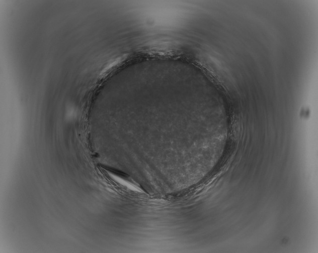 X0000091951297200709271318