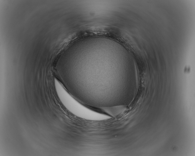 X0000091951298200709271318