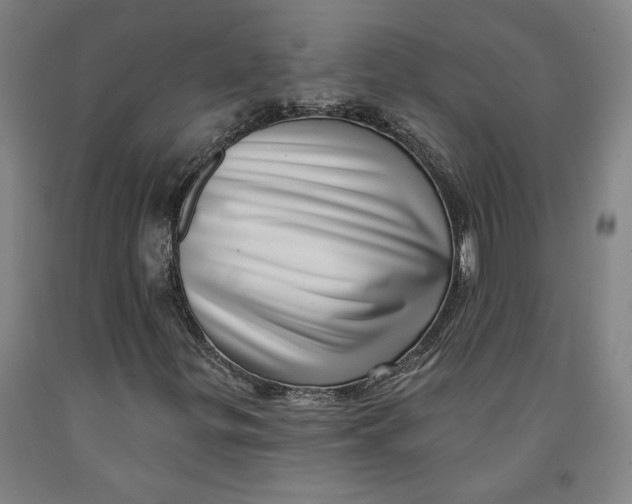 X0000091951299200709271318