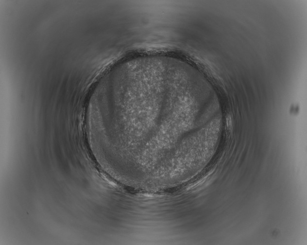 X0000091951300200709271318