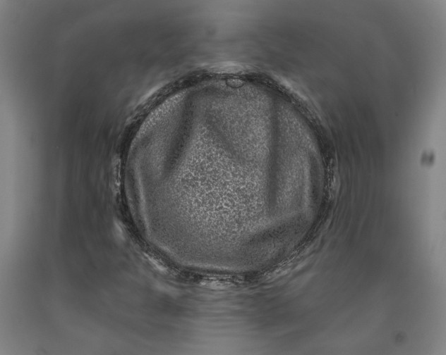 X0000091951301200709271318