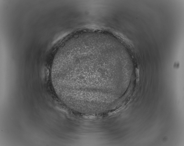 X0000091951302200709271318