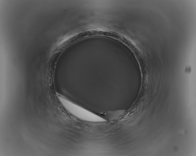 X0000091951303200709271318