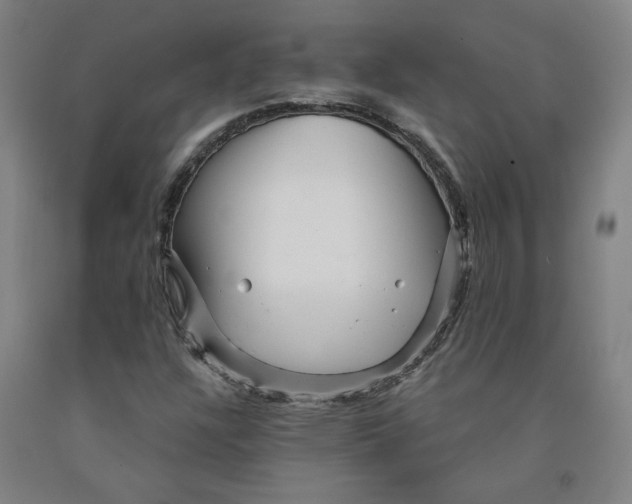 X0000091951304200709271318