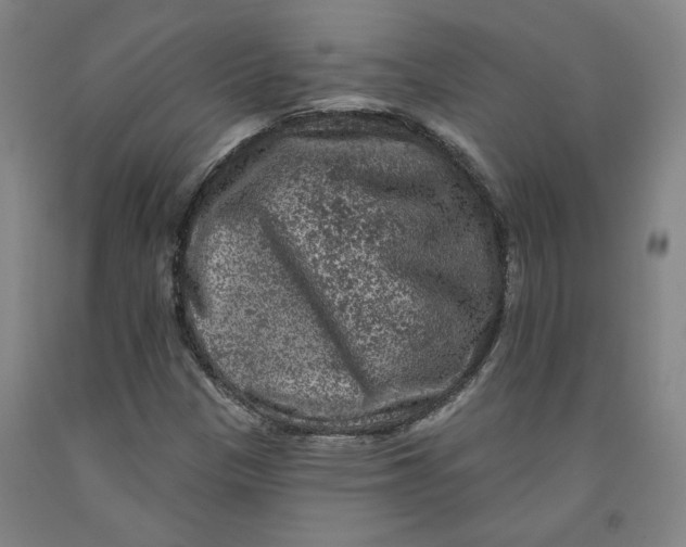 X0000091951305200709271318