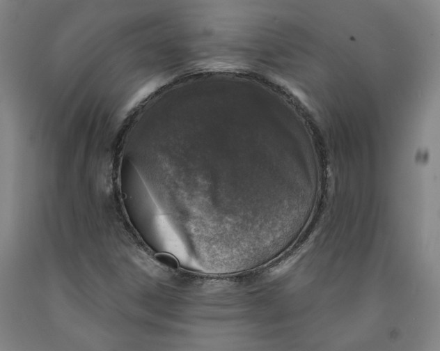 X0000091951306200709271318