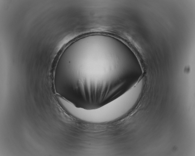 X0000091951308200709271318