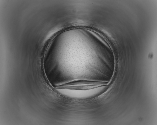 X0000091951309200709271318