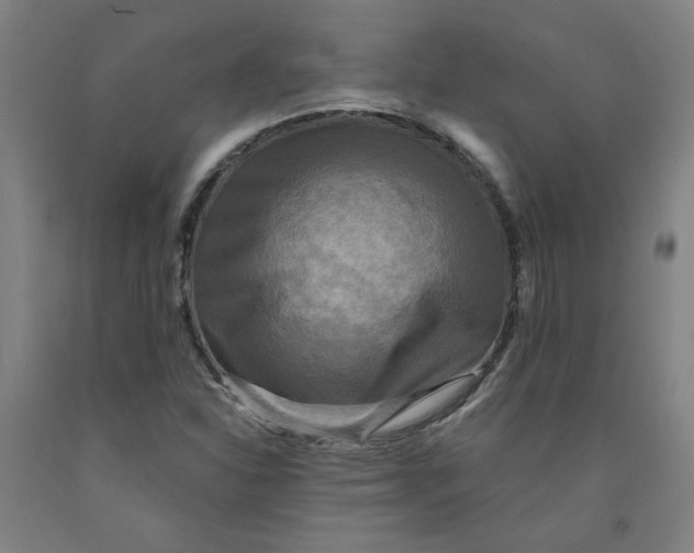 X0000091951310200709271318