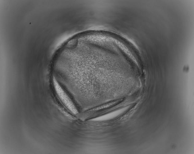 X0000091951311200709271318