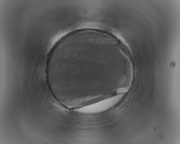 X0000091951312200709271318