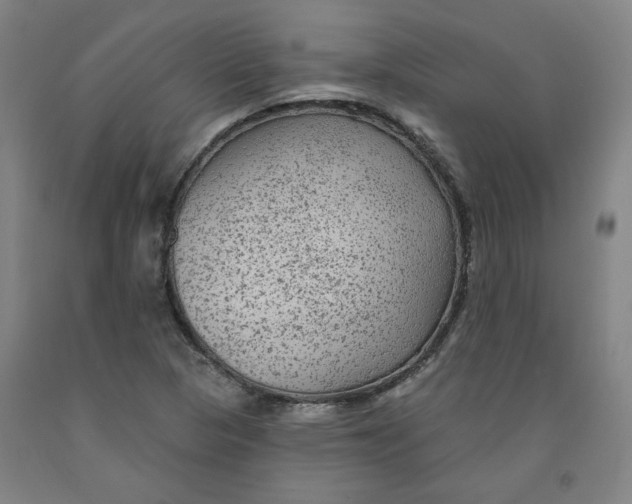 X0000091951313200709271318