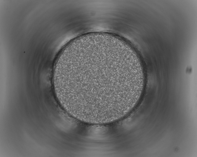 X0000091951314200709271318