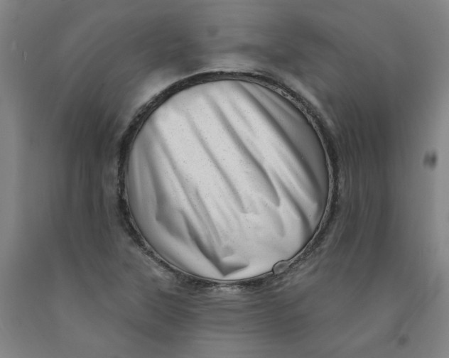 X0000091951315200709271318