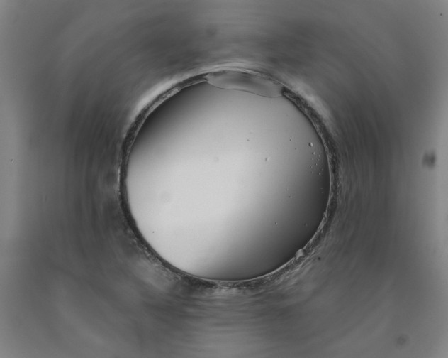 X0000091951316200709271318