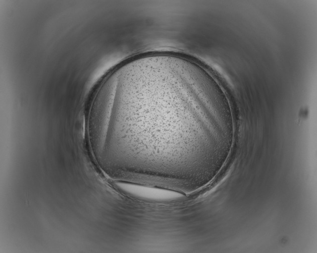 X0000091951317200709271318