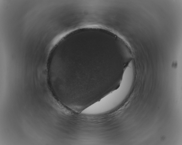 X0000091951319200709271318