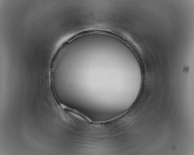 X0000091951320200709271318