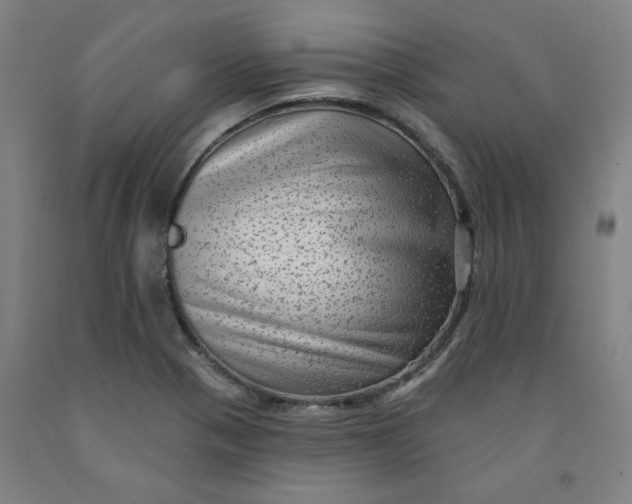 X0000091951321200709271318