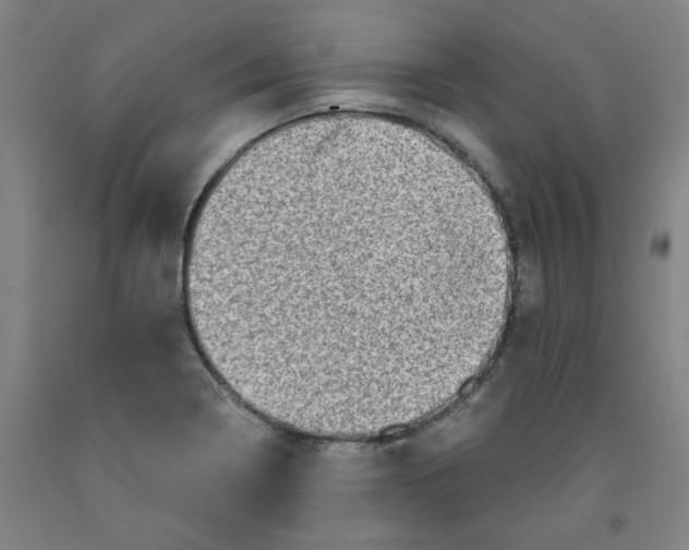 X0000091951322200709271318