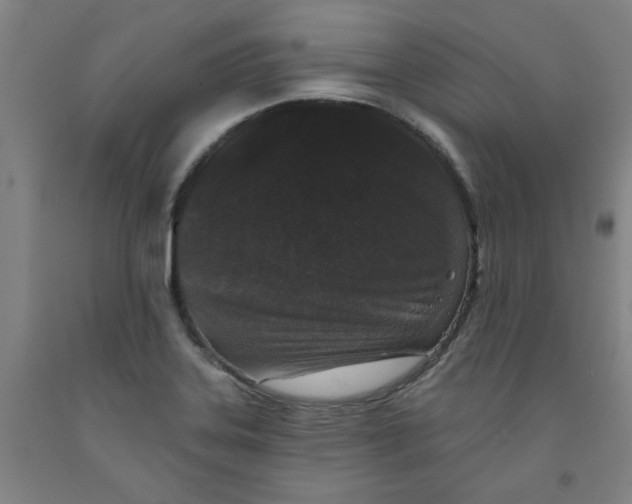 X0000091951323200709271318