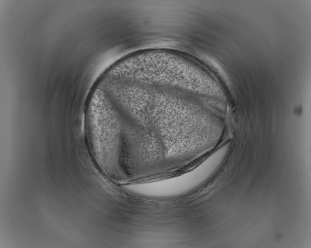 X0000091951324200709271318