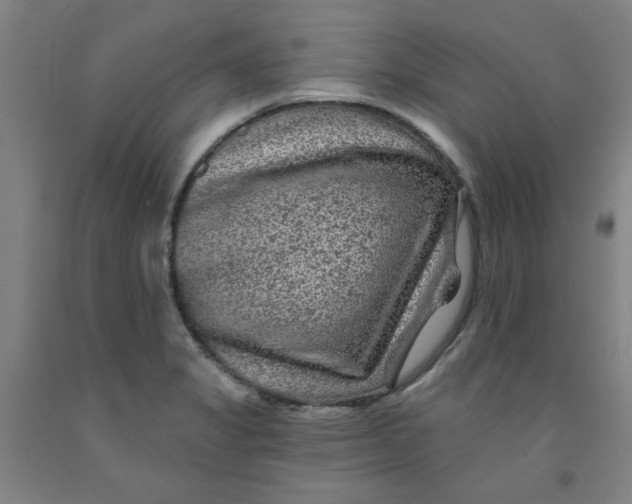 X0000091951325200709271318