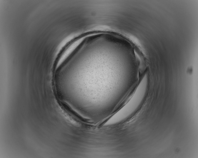 X0000091951326200709271318