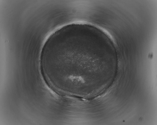 X0000091951327200709271318