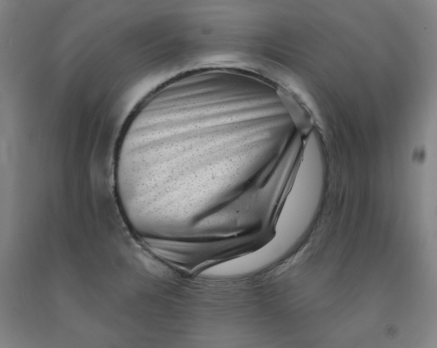 X0000091951328200709271318